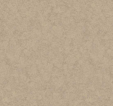 Loymina Shade SD3 002